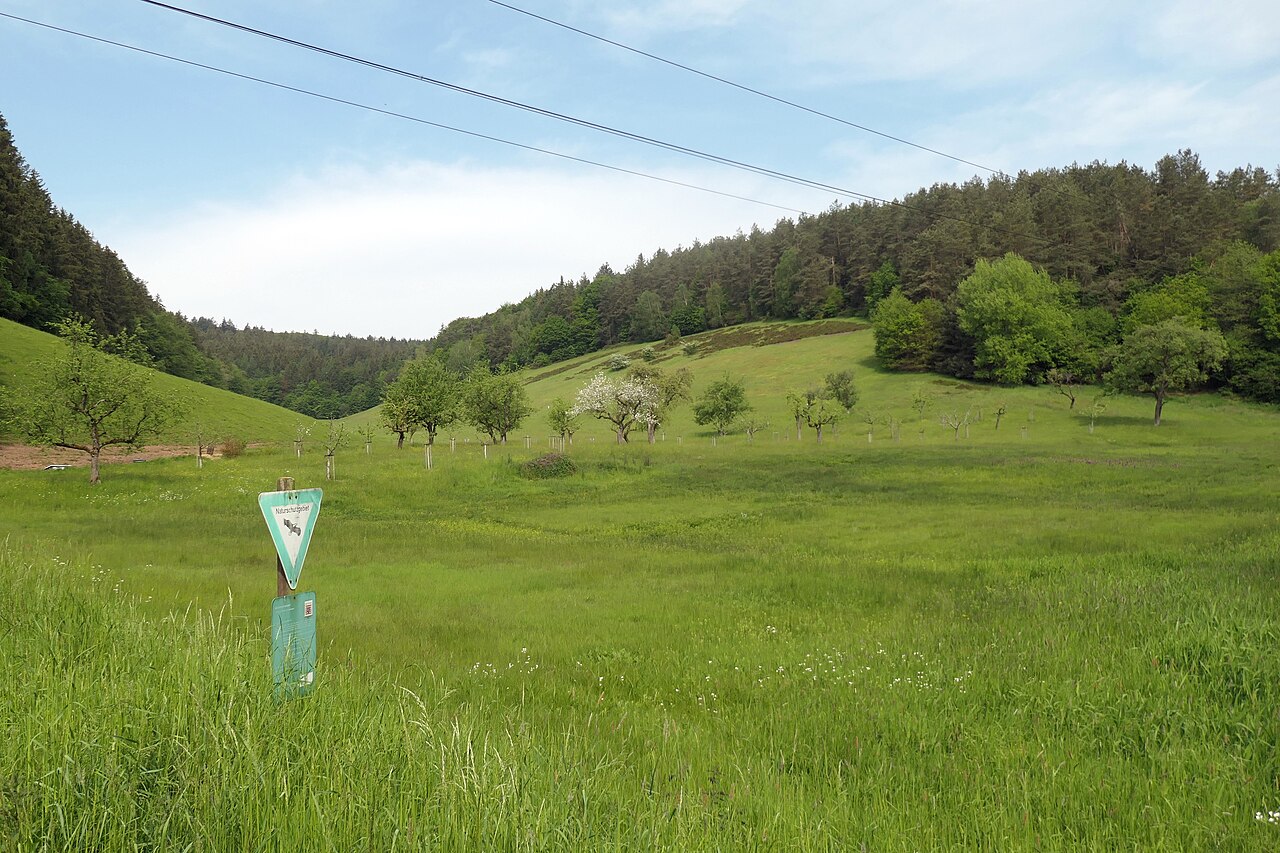 Naturschutzgebiet Jakobsgrund bei Gammelsbach von Südosten (Odenwaldkreis, Hessen)