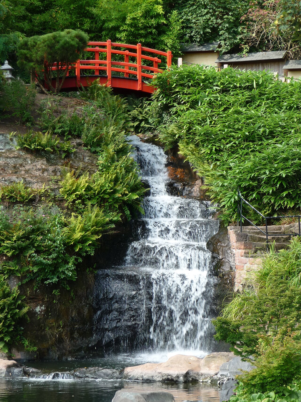 Water in Japanese garden, Kaiserslautern