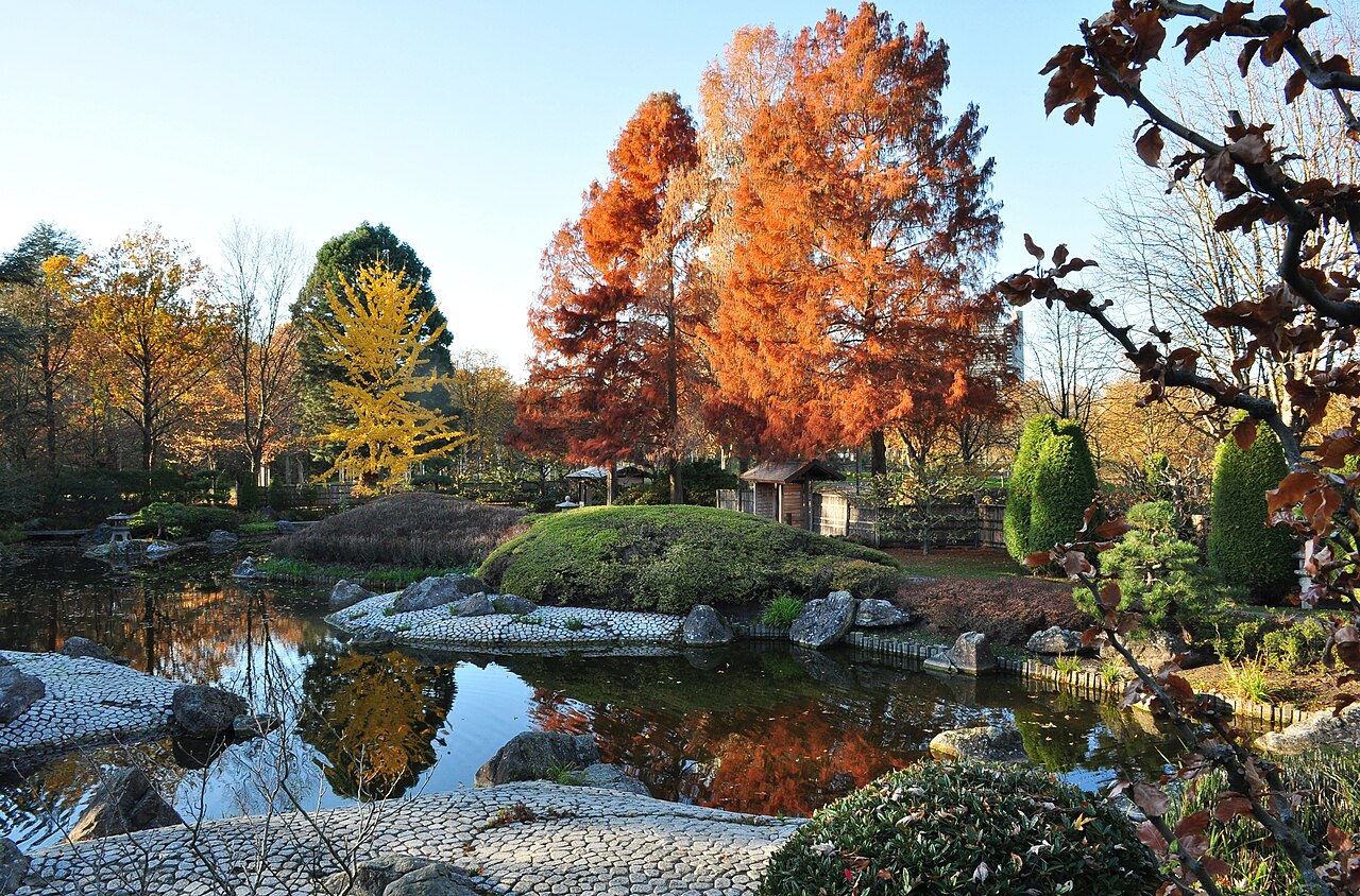 Japanischer Garten in der Bonner Rheinaue – Herbst 2018