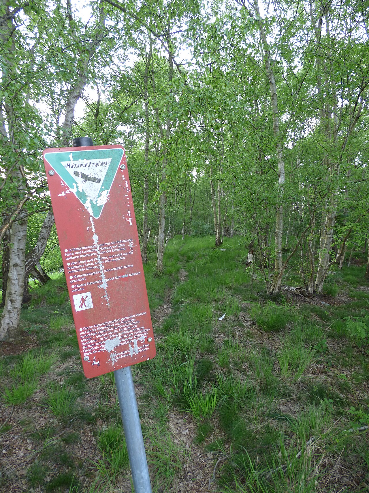 Naturschutzgebiet Jeddeloher Moor: Hinweisschild, welches auffordert, dieses Gebiet nicht zu betreten