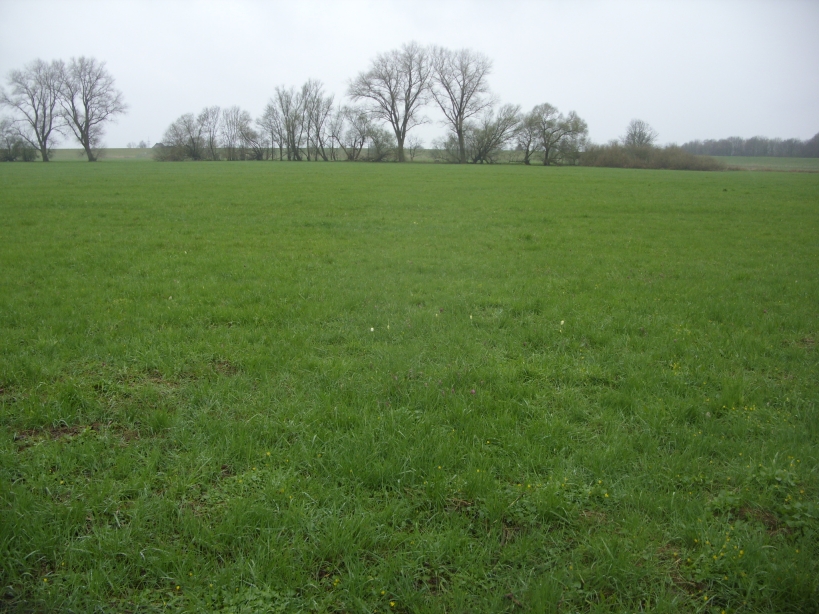 Naturschutzgebiet „Juliusplate“