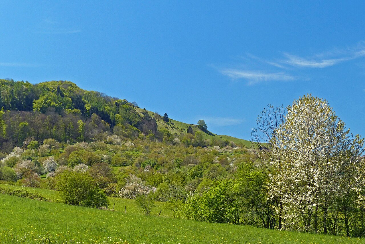 Blick aus Norden auf den Jusi bei Kohlberg