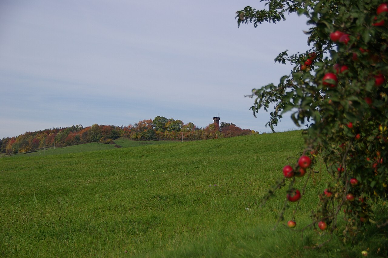 Herbst 09-1 Blick zum Juxkopf