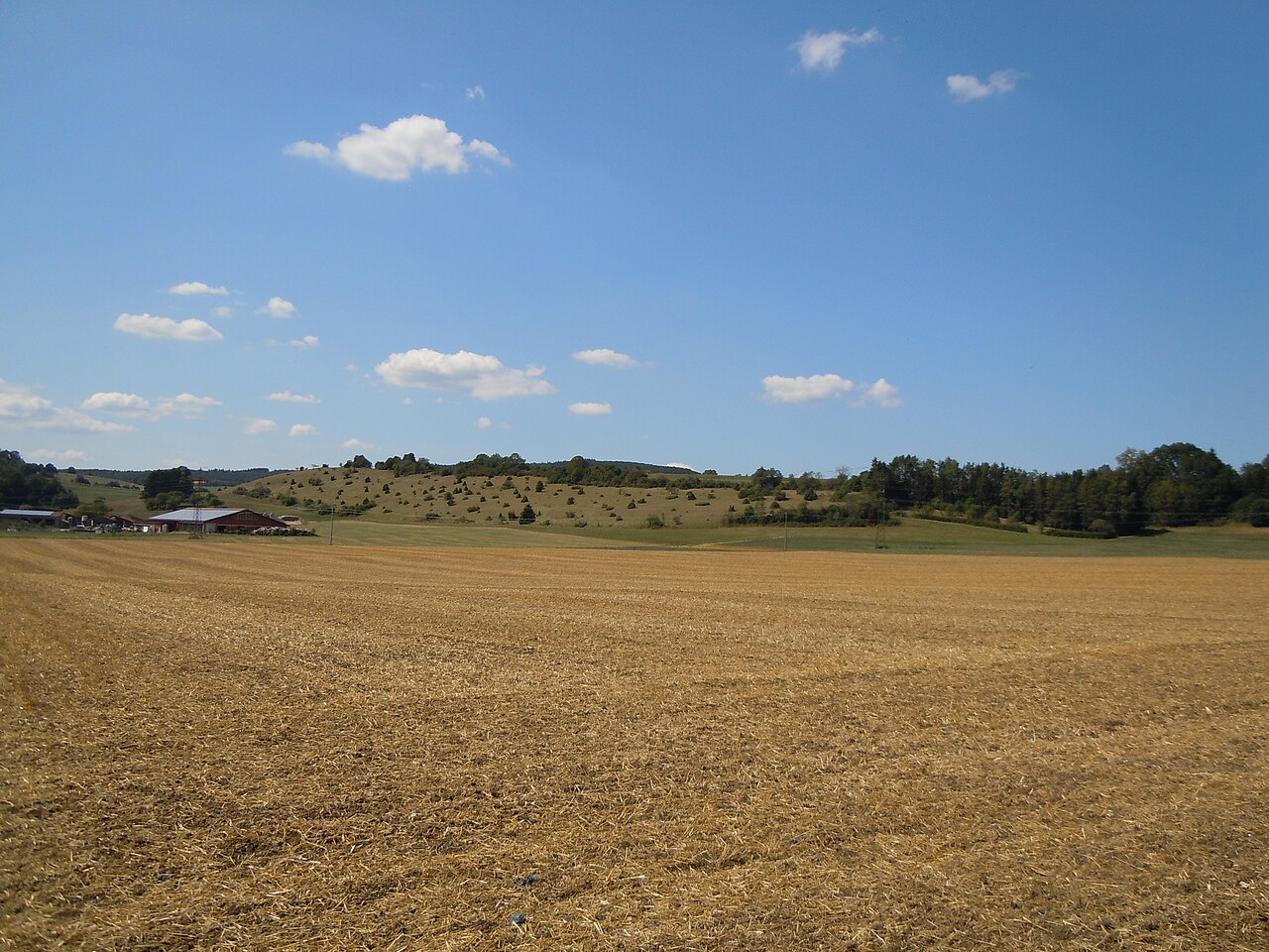 Naturschutzgebiet "Kälberberg-Hochberg" (Schutzgebiets-Nr