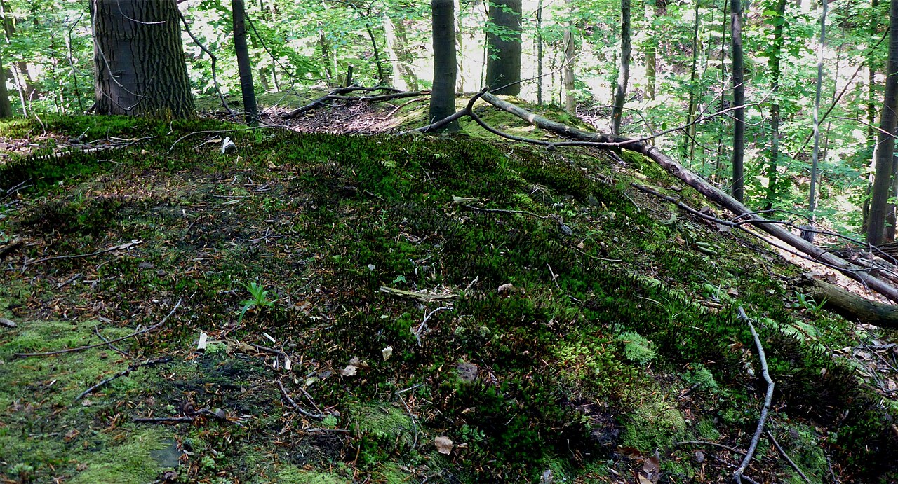 Naturschutzgebiet „Kälberklamm und Hasenklamm“ is a nature reserve in Baden-Württemberg, Germany