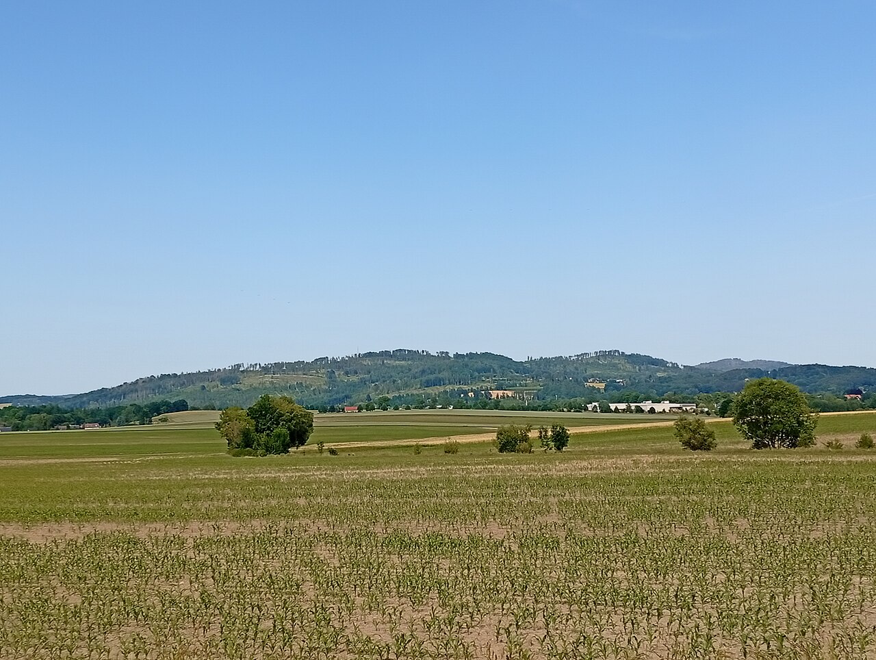 Kälbersteine, Pickaer Berg