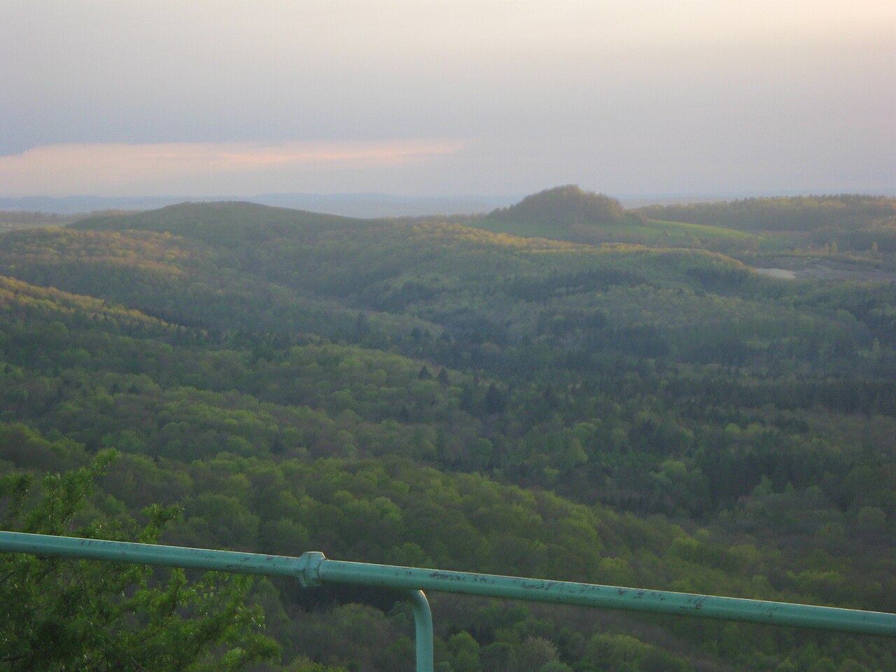 Blick vom Georgenberg über den Wasenwald zum Käpfle