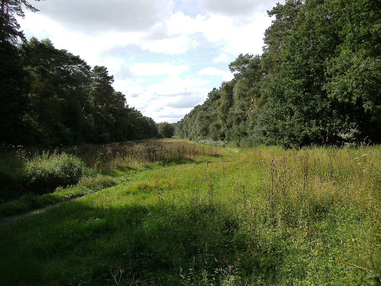 Kahles und Wildes Moor