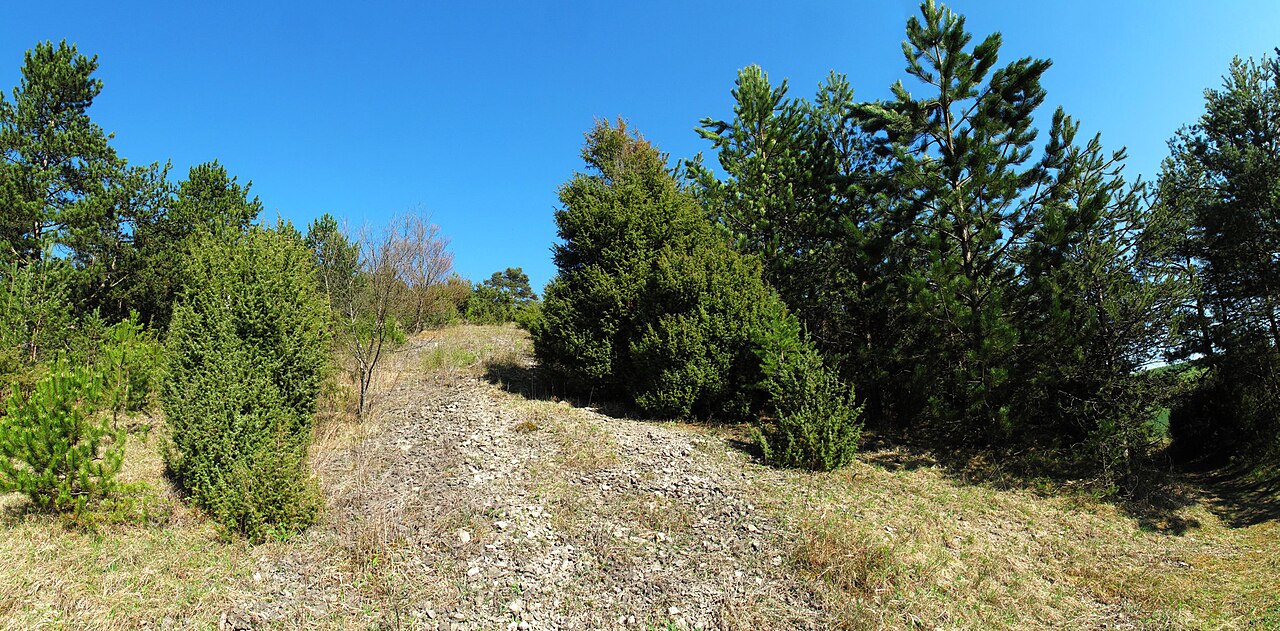 Kailstadt-Mühlhelde (Naturschutzgebiet 1