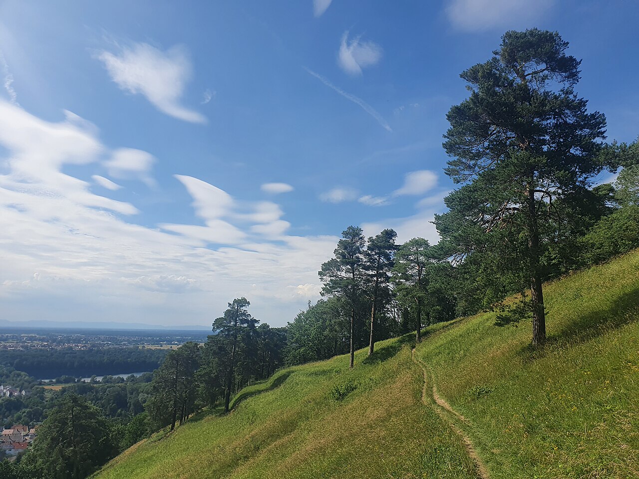 Hanglandschaft im Naturschutzgebiet Kaiserberg bei Bruchsal-Untergrombach (Blick nach Nordwesten)