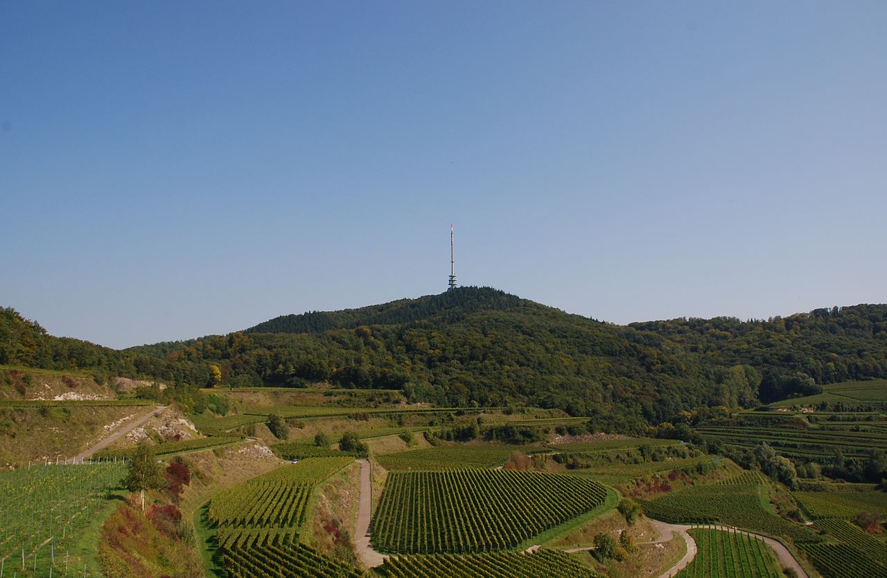 Mountain Totenkopf (556