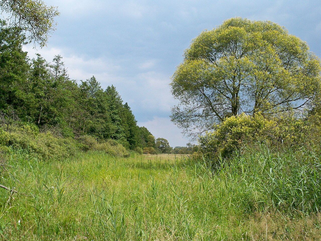 Nature Reserve Kaiserwinkel, Lower Saxony