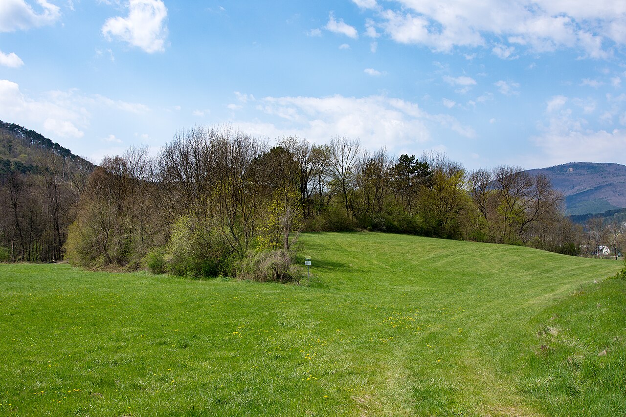 Östliche Ansicht der Kalkklippe Oberpiesting