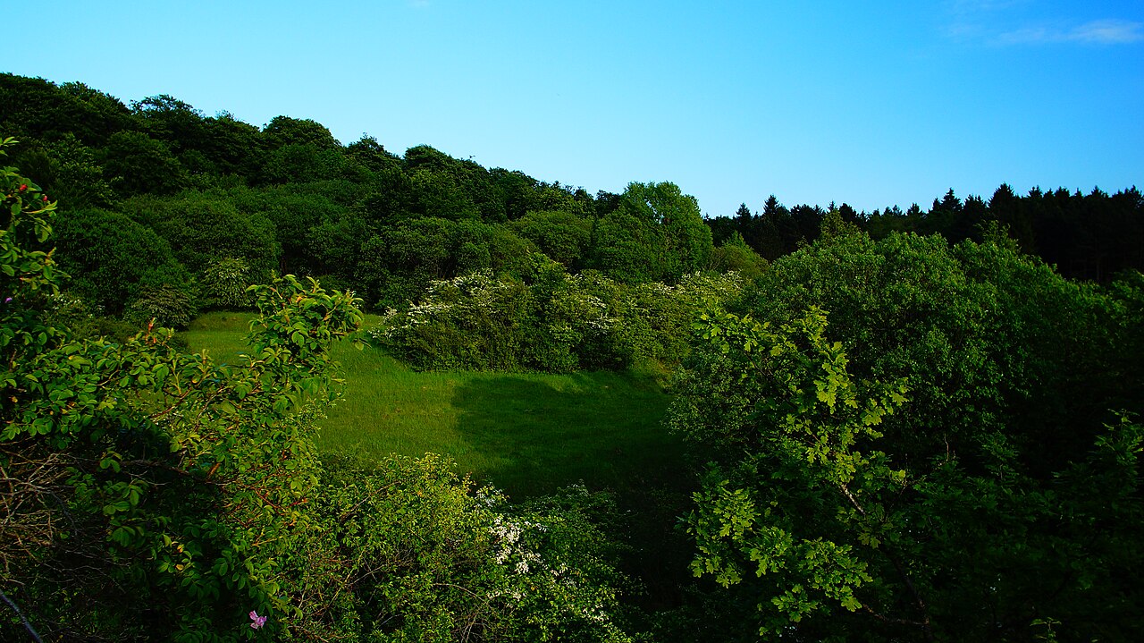 Blick vom Nord-Westen über den Steilhang hinweg