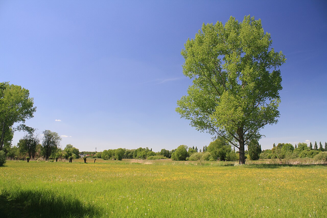 Nature reserve Kalktuffgelände am Tegeler Fließ