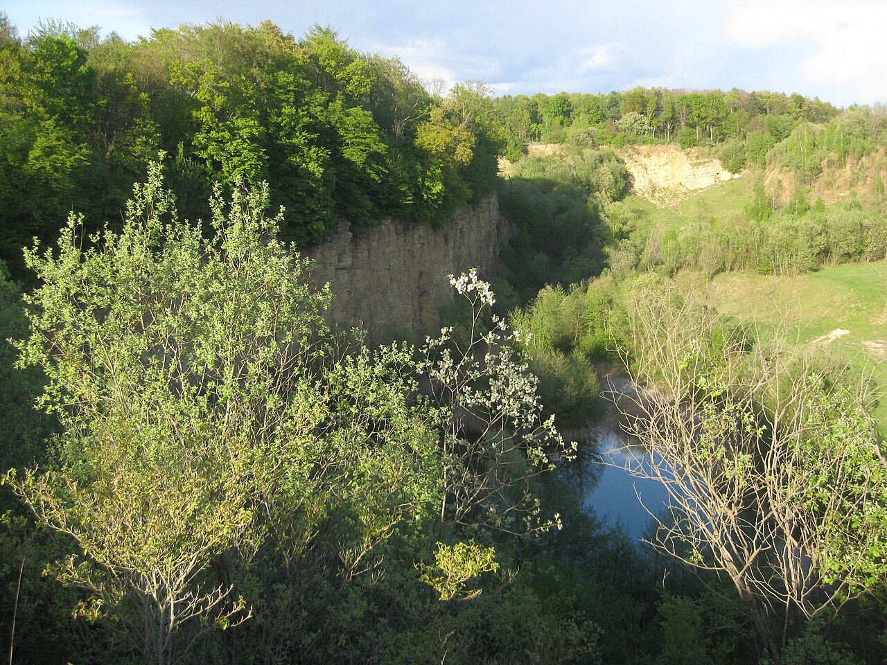 Naturschutzgebiet Kallenberg