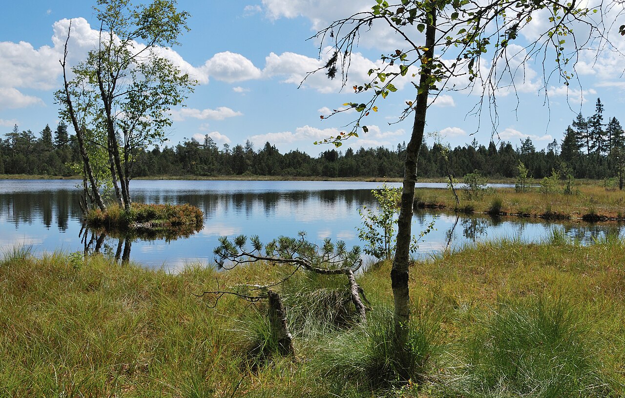 The Wildsee near Bad Wildbad in northern Black Forest in Germany