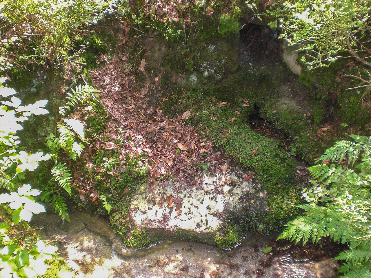 Kalter Brunnen, Schichtquelle, zwischen Moosbach und Ungelstetten, Quelltopf