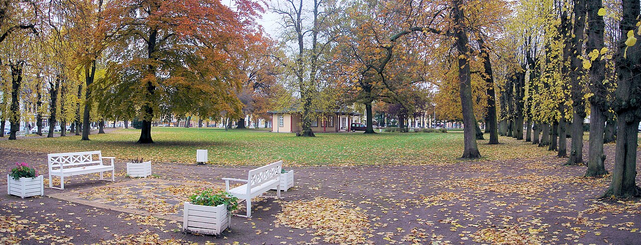 Kamp in Bad Doberan, Landkreis Bad Doberan, Mecklenburg-Vorpommern