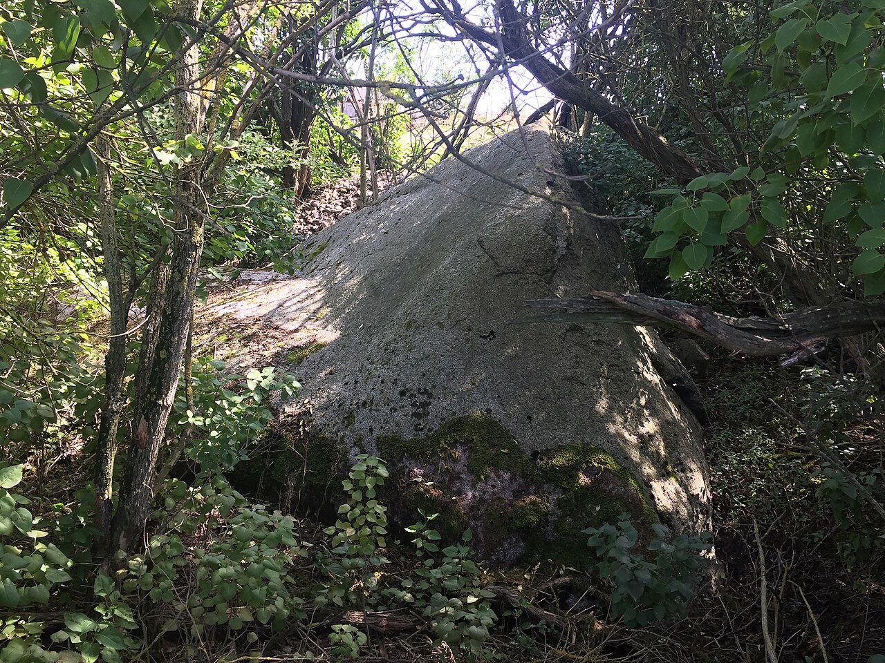 Kanzelstein Frankfurt (Oder) 2018