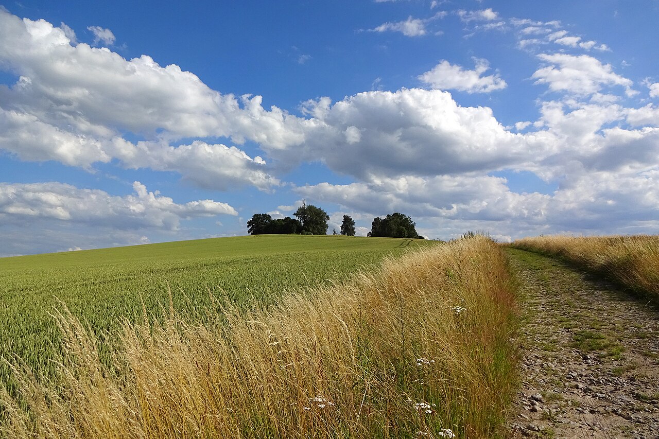 Kapellenberg bei Schmiedefeld
