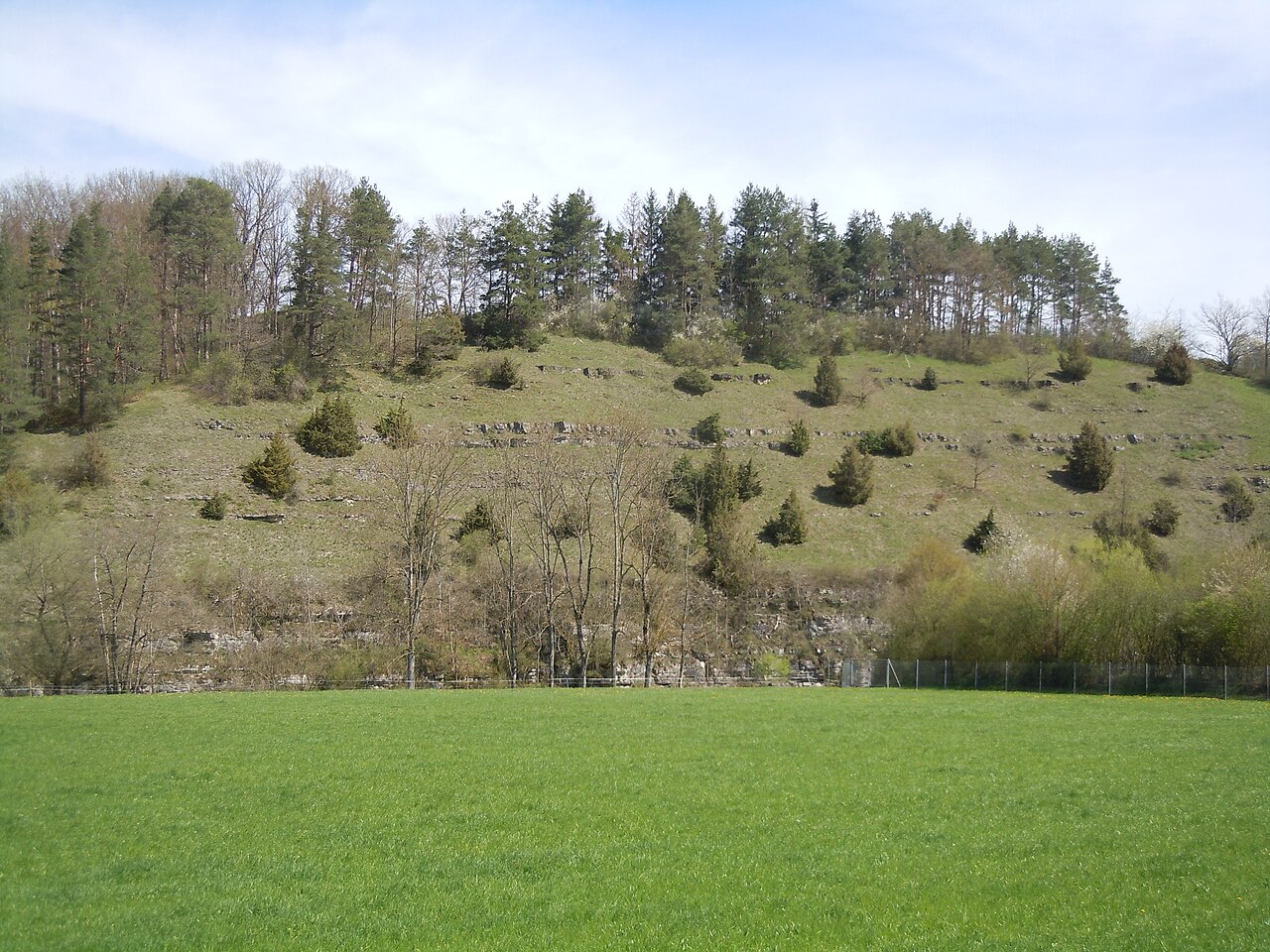 Nature reserve Kapfhalde in Baden-Württemberg, Germany