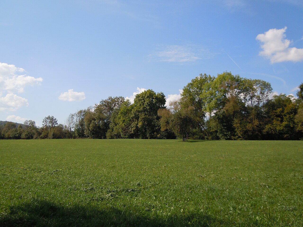 Naturschutzgebiet "Kappelwiesen-Beim Roten Brunnen-Salzwiesen" (Schutzgebiets-Nr