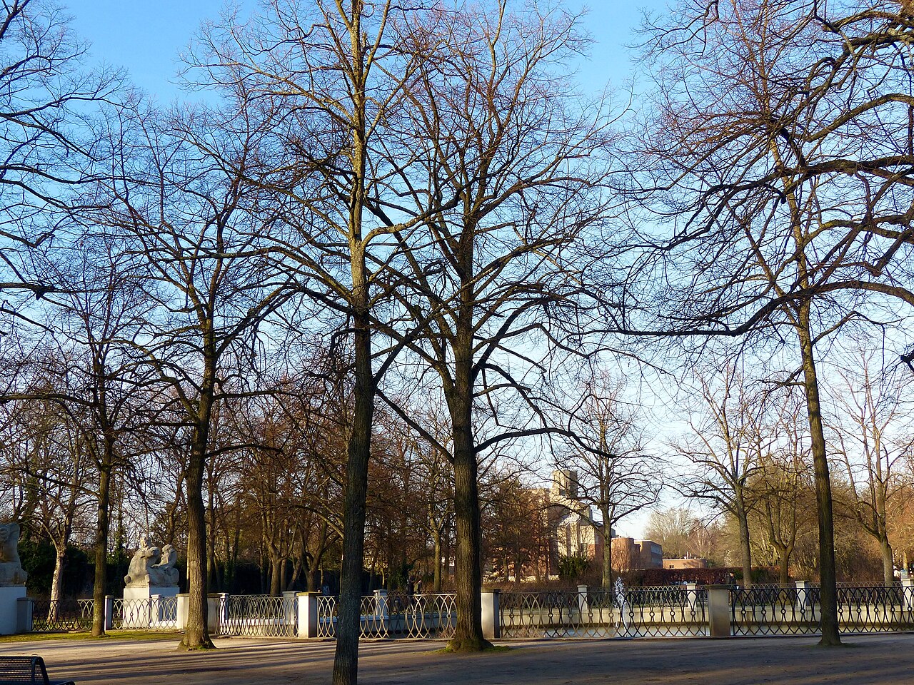 Köln-Lindenthal: Karl-Schwering-Platz