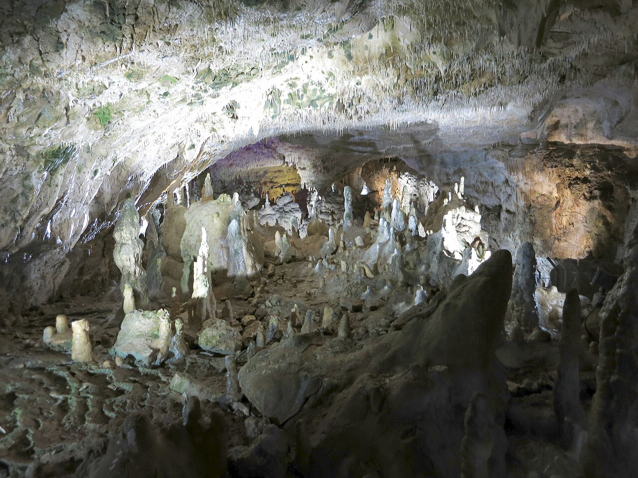In Bärenhöhle, a cave in Schwäbische Alb