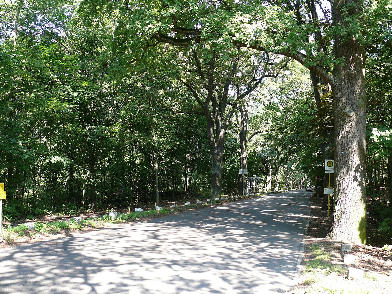 Berlin-Grunewald Havelchaussee Haltestelle Grunewaldturm