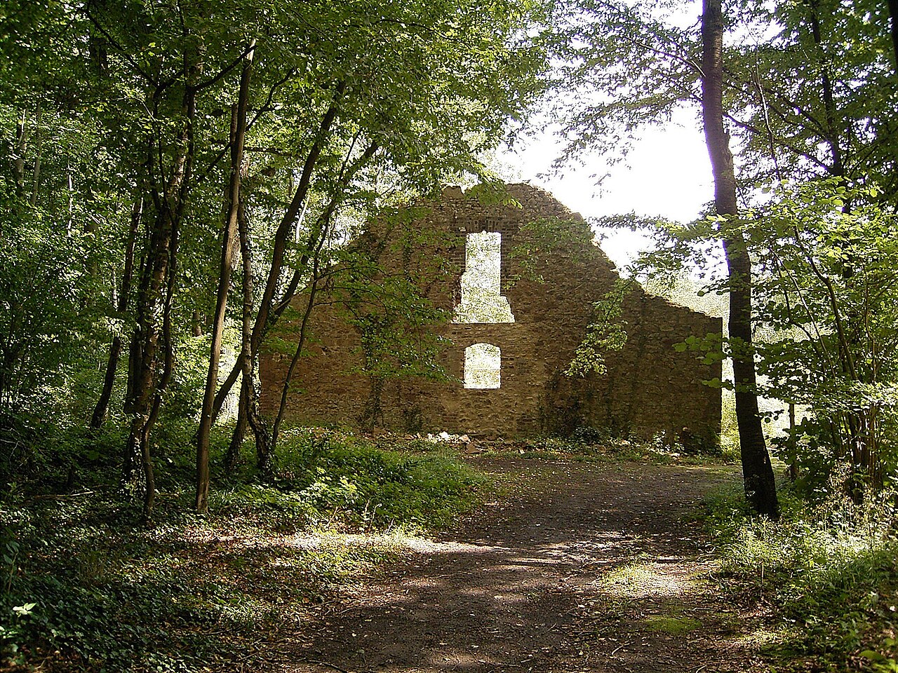 Karlsburg in Langerwehe