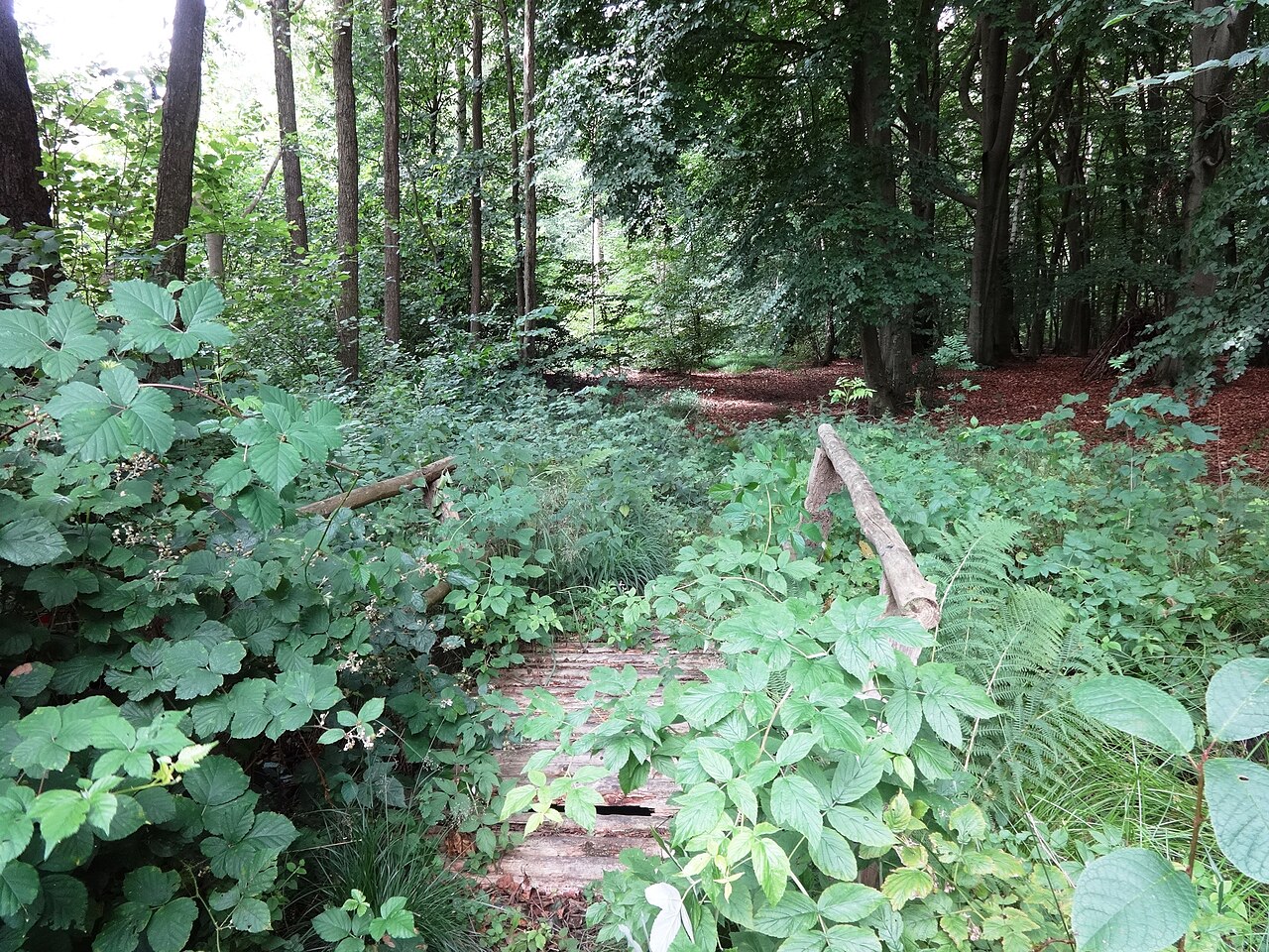 Foto von Karlsburger und Oldenburger Holz
