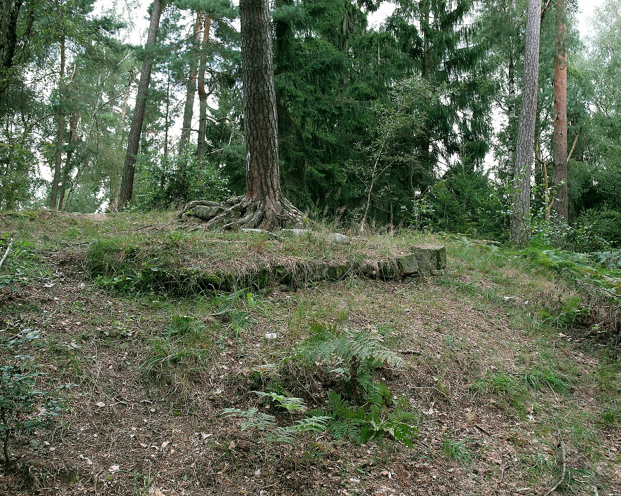 Foto von Katharinenkapelle/ Klause