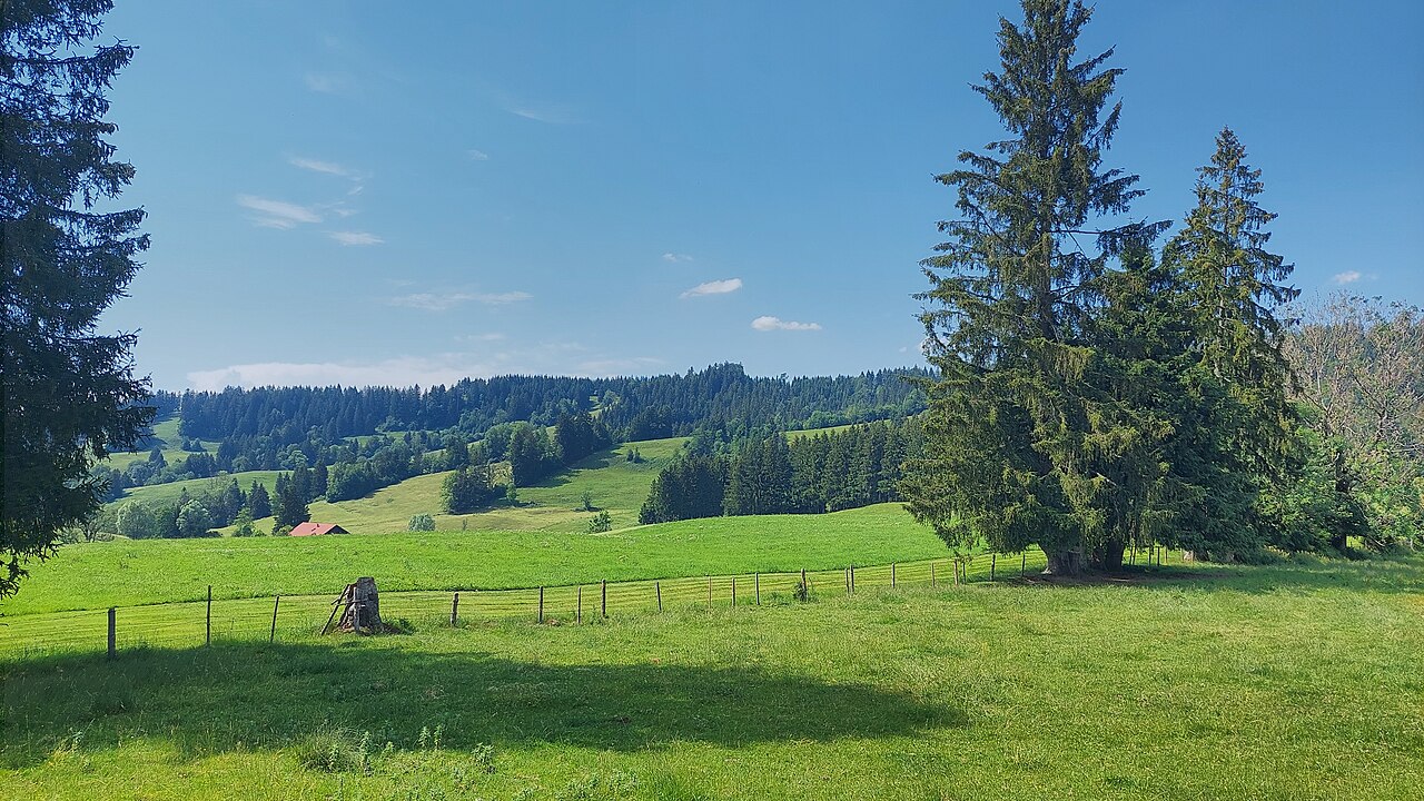 Katzenbühl in the municipality of Weitnau, view from southeast