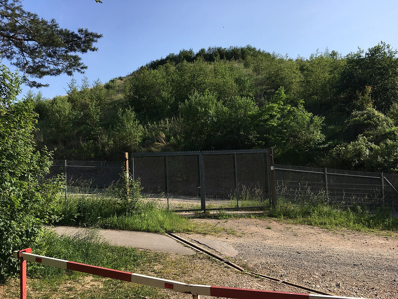 Der Katzenbühl