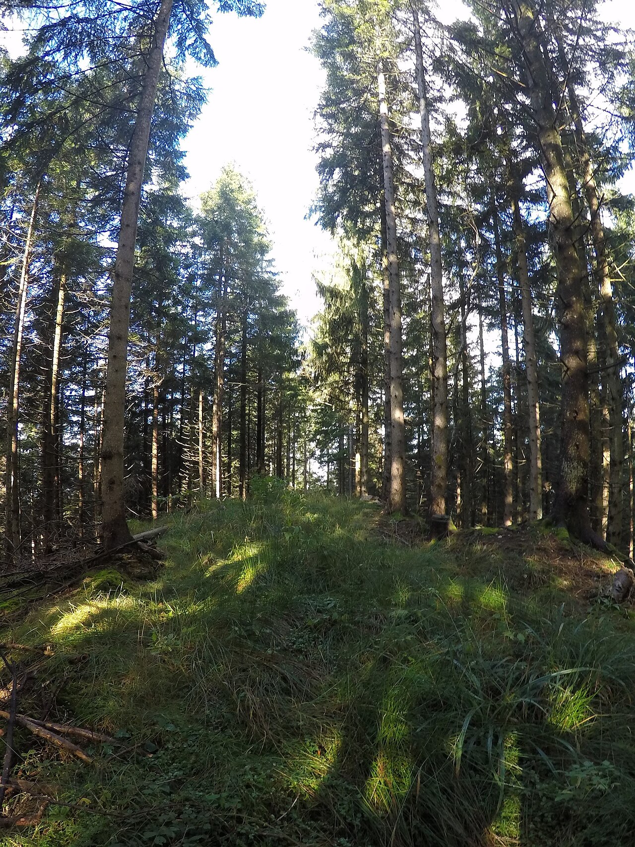 Katzenköpfl, Mangfallgebirge, Bavaria
