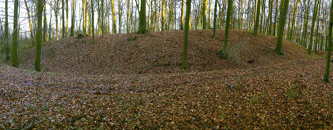 Die Oldenborg in einem Wäldchen westlich von Laer ist eine aufgelassene mittelalterliche Wallburg im Münsterland