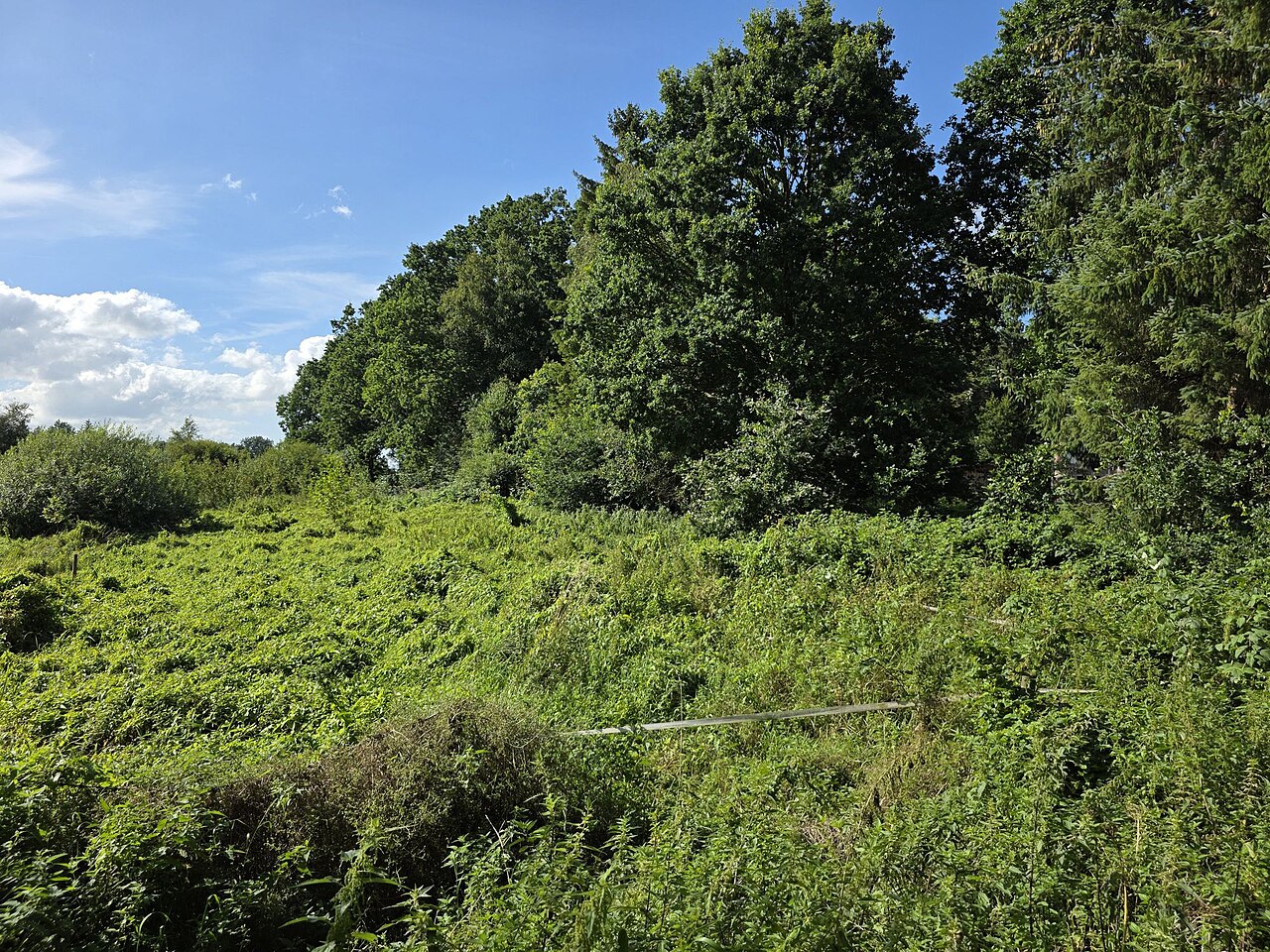Nature reserve Kehdinger Moore II