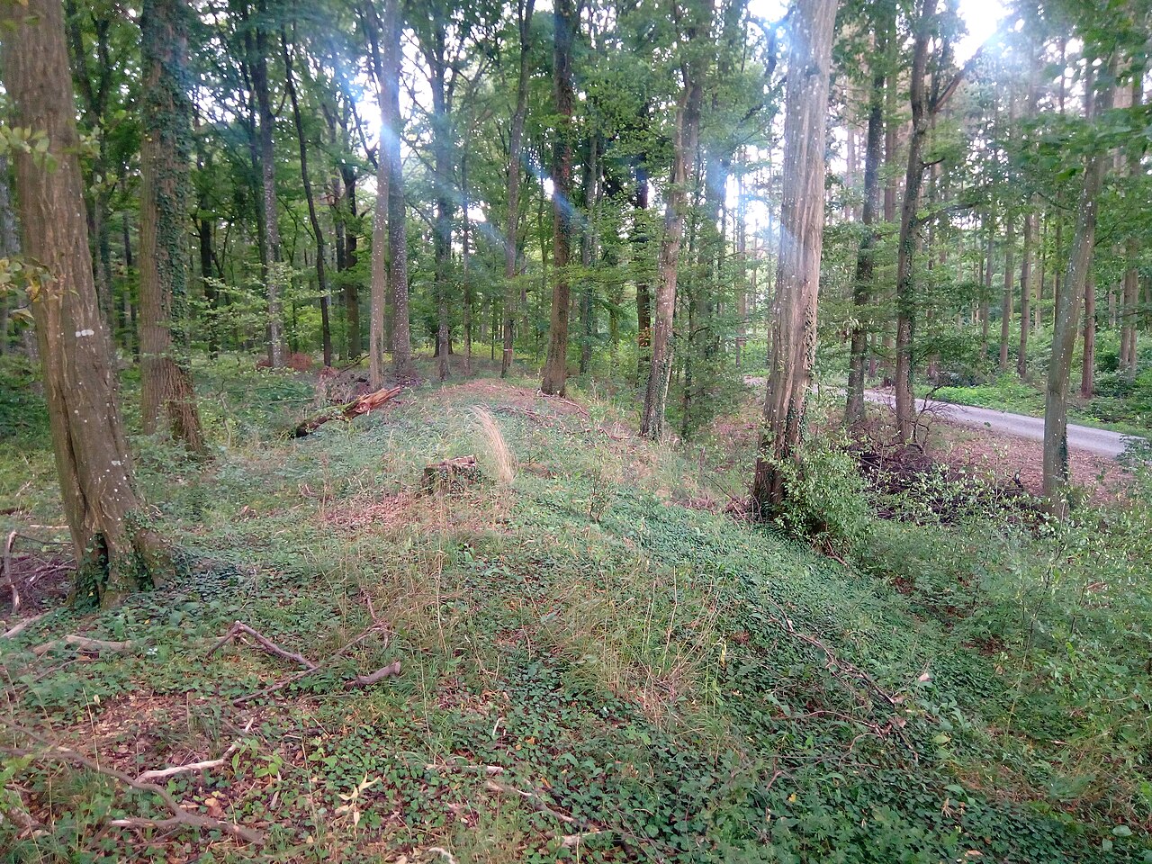 Keltenschanze Bütthard West