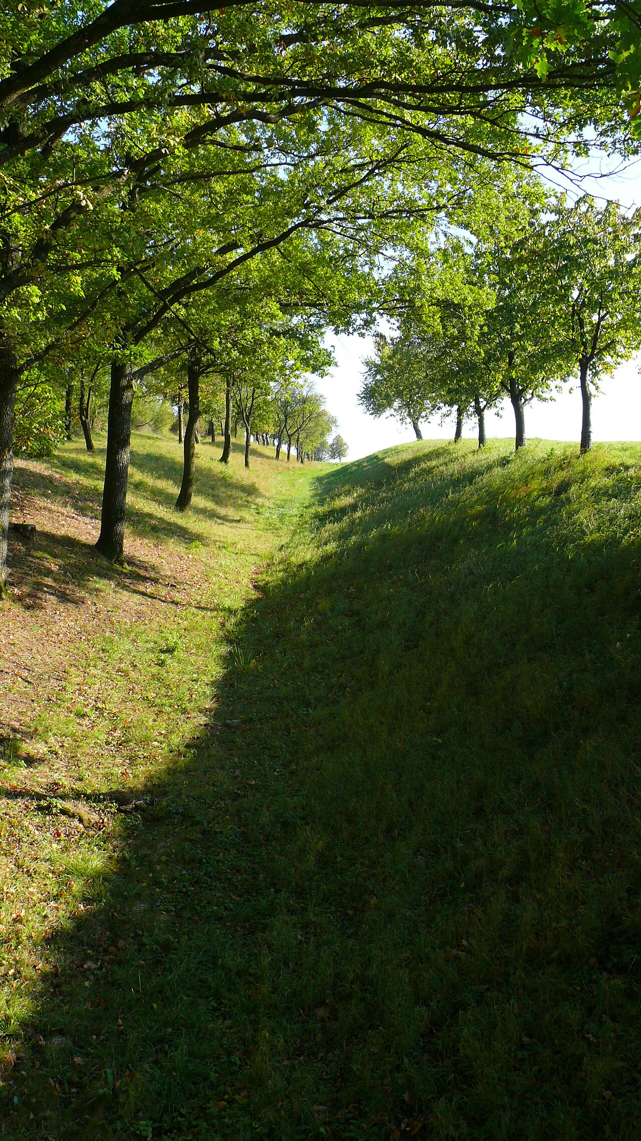 Wallsegment um das Oppidum Finsterlohr