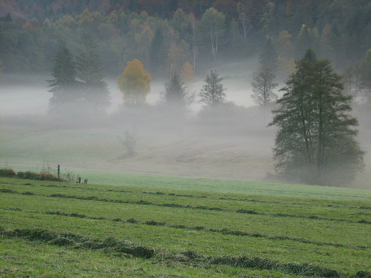 Moorwiesen bei Kemmerlang, ehemaliges Torfabbaugebiet, heute Naturschutzgebiet „Kemmerlanger Moos“