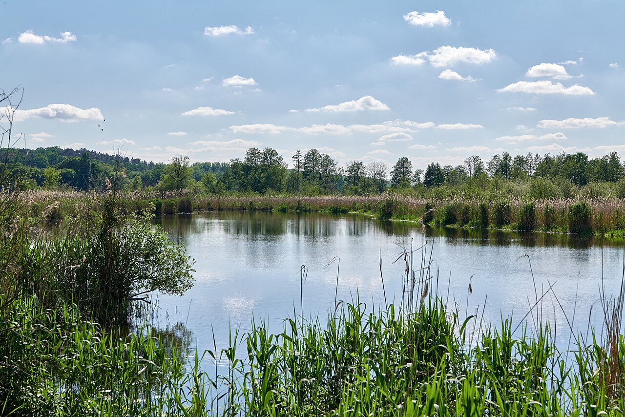 Mittelbruch island in the nature reserve Ketziner Havelinseln