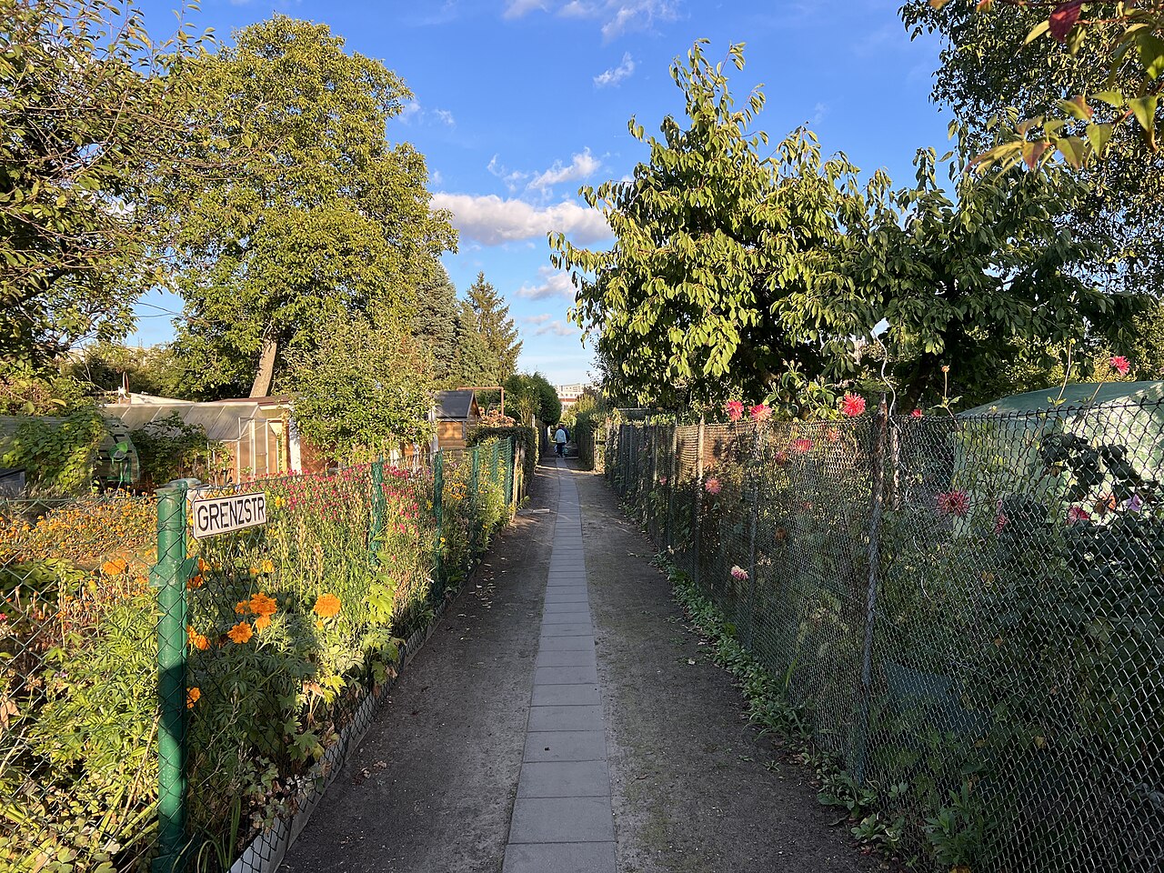 Grenzstraße in der Kleingartenanlage Langes Höhe in Berlin-Fennpfuhl, Bezirk Lichtenberg, Deutschland