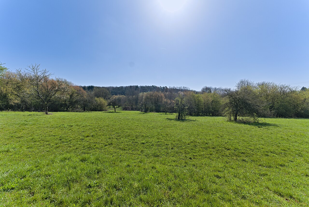 Nature reserve and Special Area of Conservation Kickelbach bei Fischbach