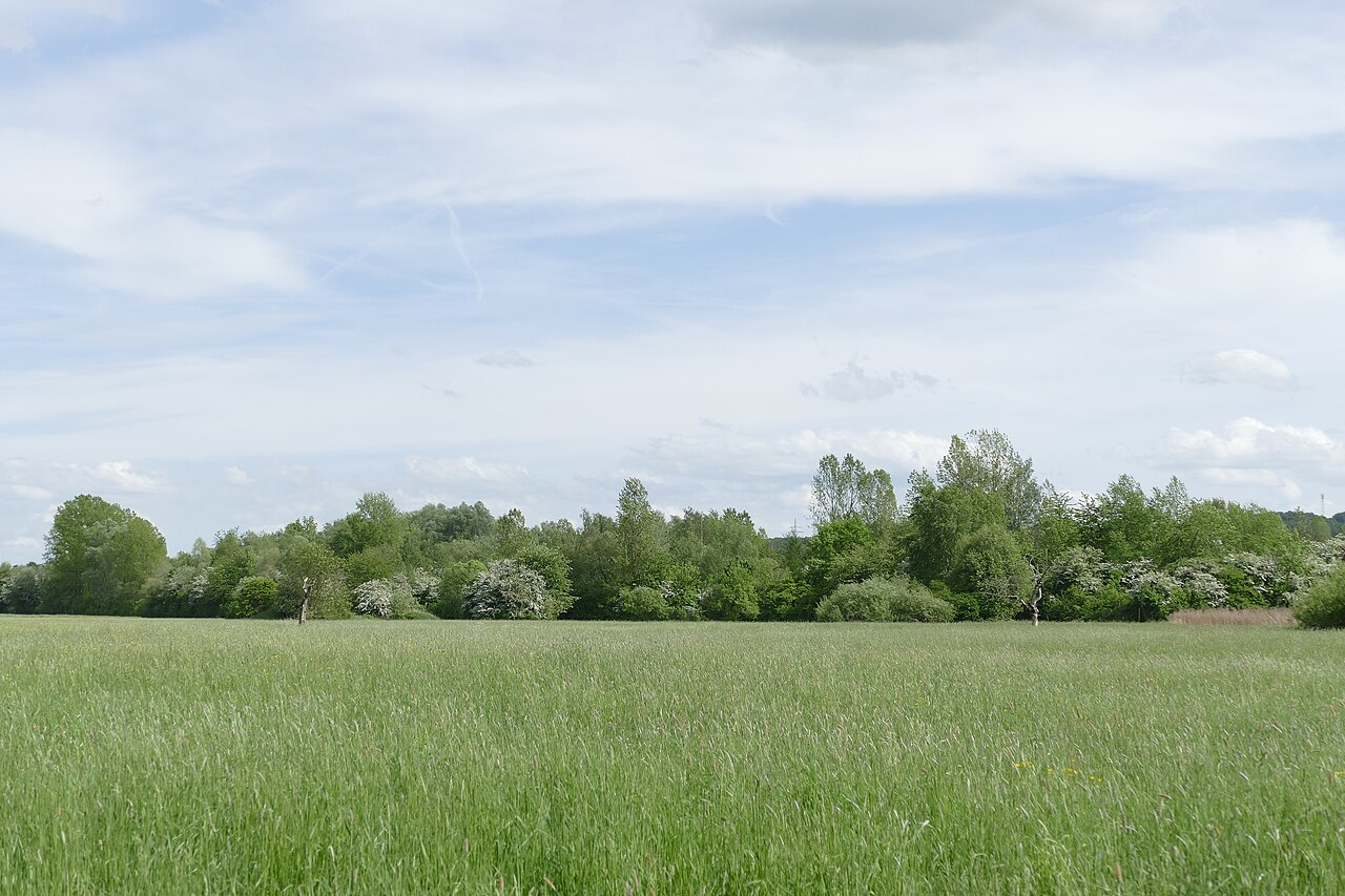 Naturschutzgebiet Naunheim Oberwasen im Lahn-Dill-Kreis