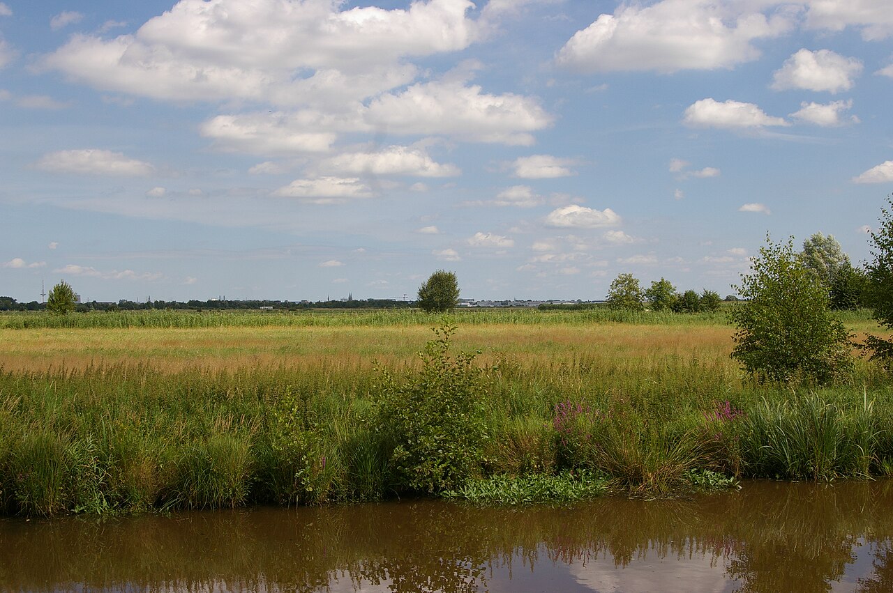 Kladdinger Wiesen