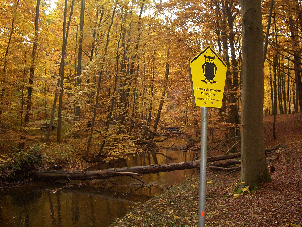 Naturschutzgebiet Klädener Plage und Mildenitz-Durchbruchstal, Mecklenburg-Vorpommern