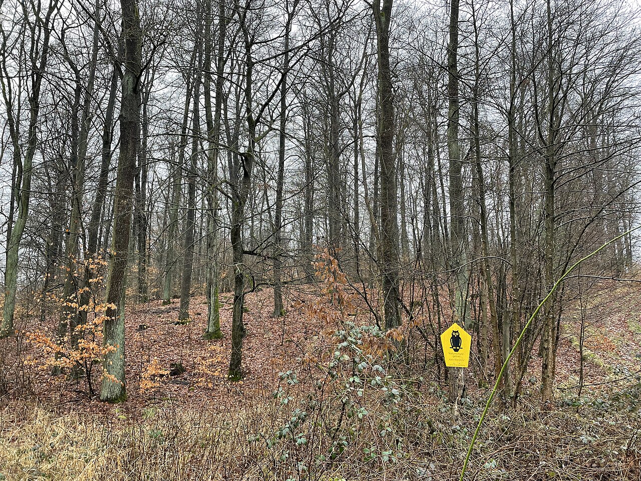 Naturschutzgebiet Klein Marzehns in Rabenstein/Fläming in Brandenburg