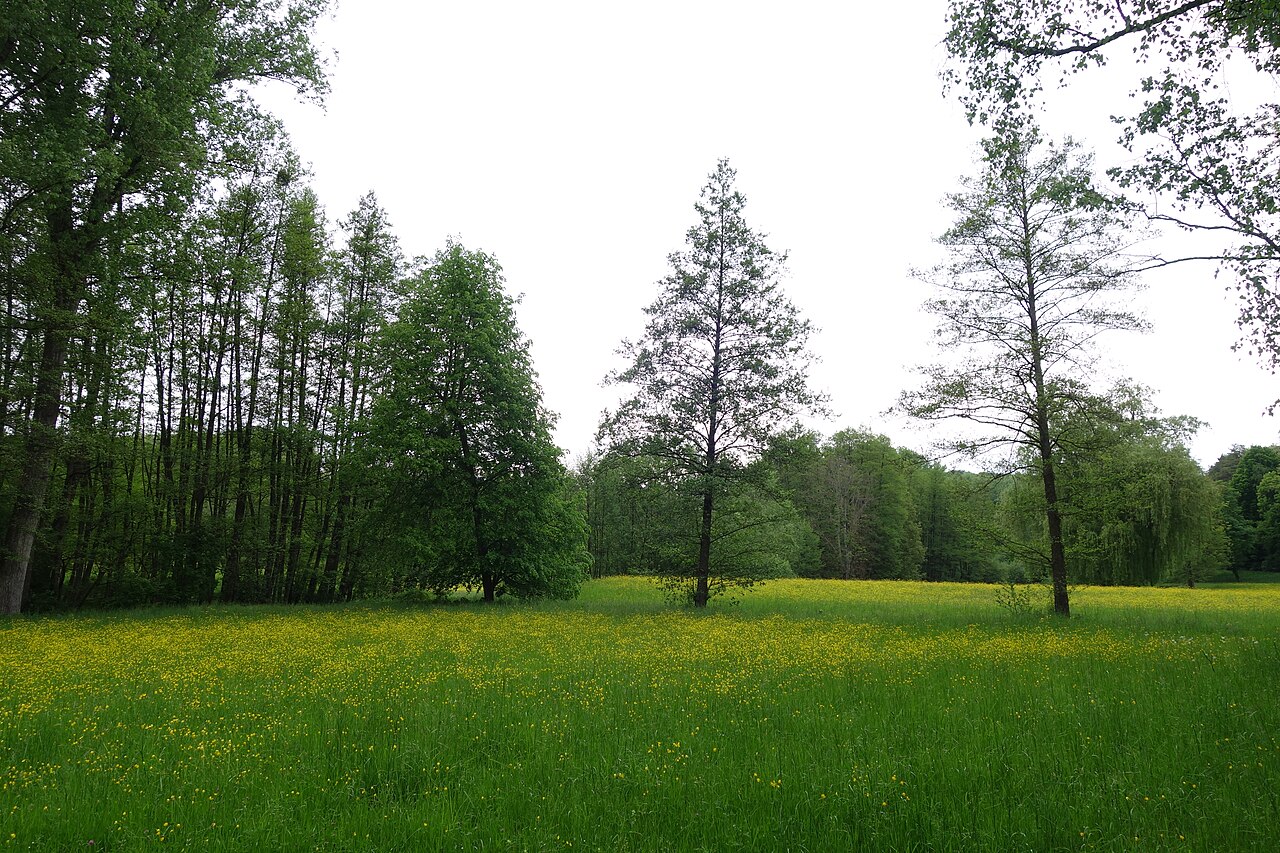 NSG Kleiner Kraichbach