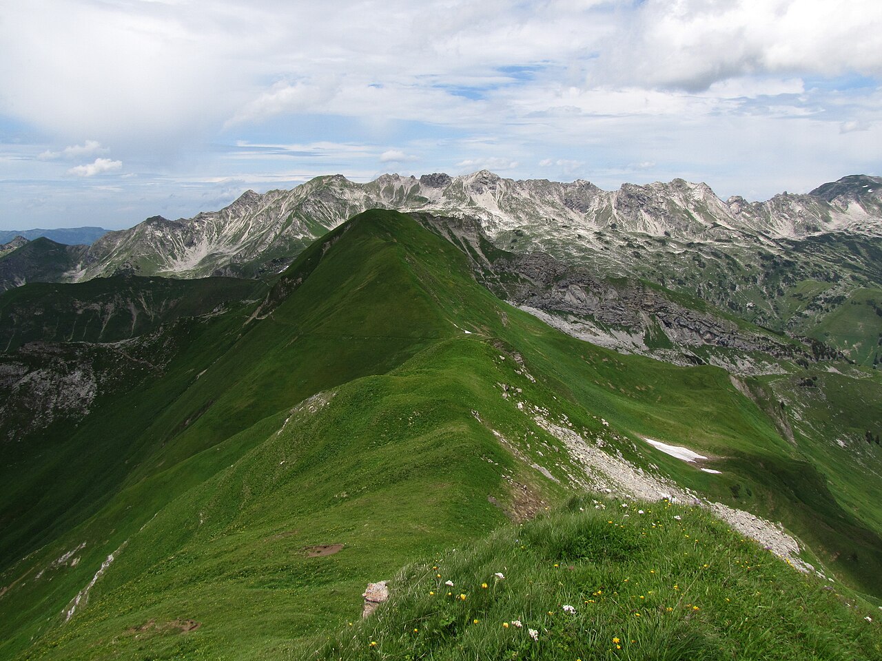 Foto von Kleiner Seekopf